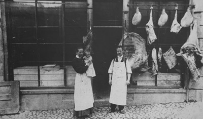 History of Quails